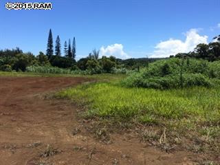 MAUI366275 MAUI366275