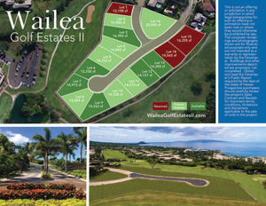 Wailea Golf Estates 11