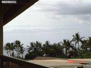 Maui Banyan P406