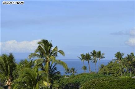 Maui Banyan H5114