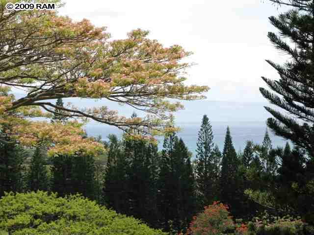 Kapalua Golf Villas 14V2.jpg