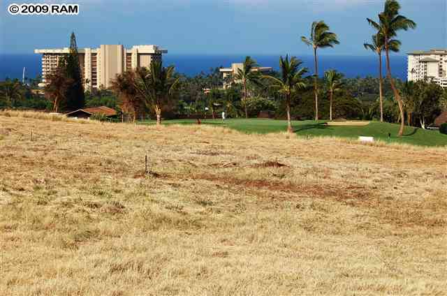 204 Anapuni Loop.jpg