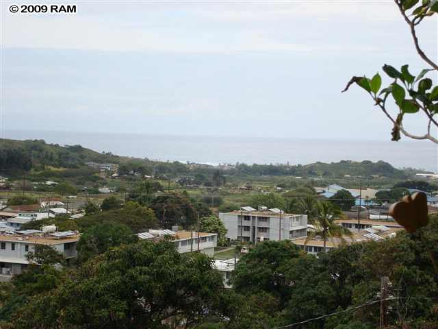 Iao Gardens 206.jpg