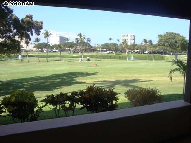 Kaanapali Royal D 102.jpg