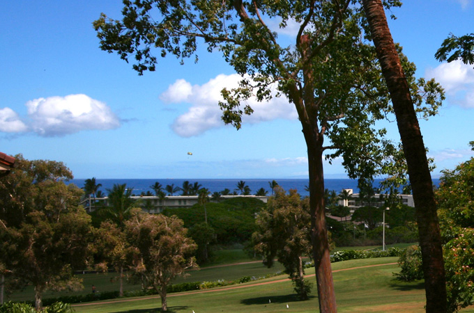 Kaanapali Royal Q303.jpg