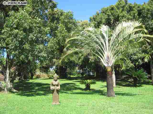 595 Kulike Road.jpg