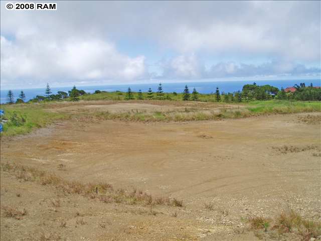65 Hulumanu Place.jpg
