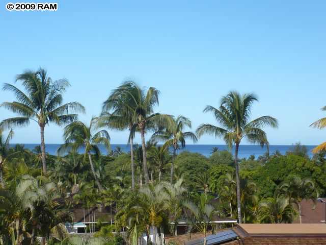 Papali Wailea 21.jpg