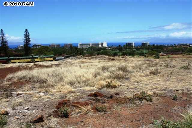 184 Anapuni Loop.jpg