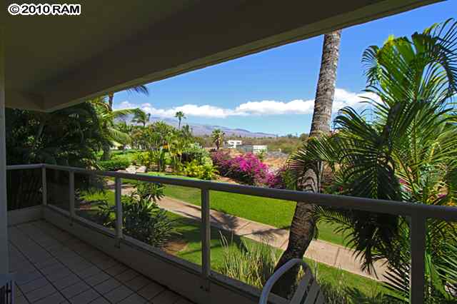 Maui Banyan Q 101.jpg