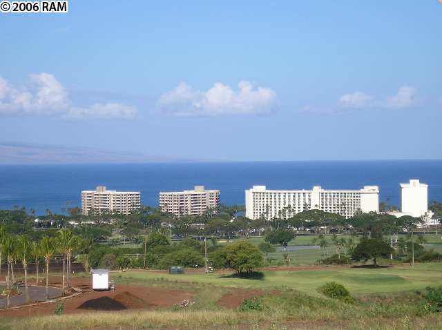 910 Anapuni Place.jpg
